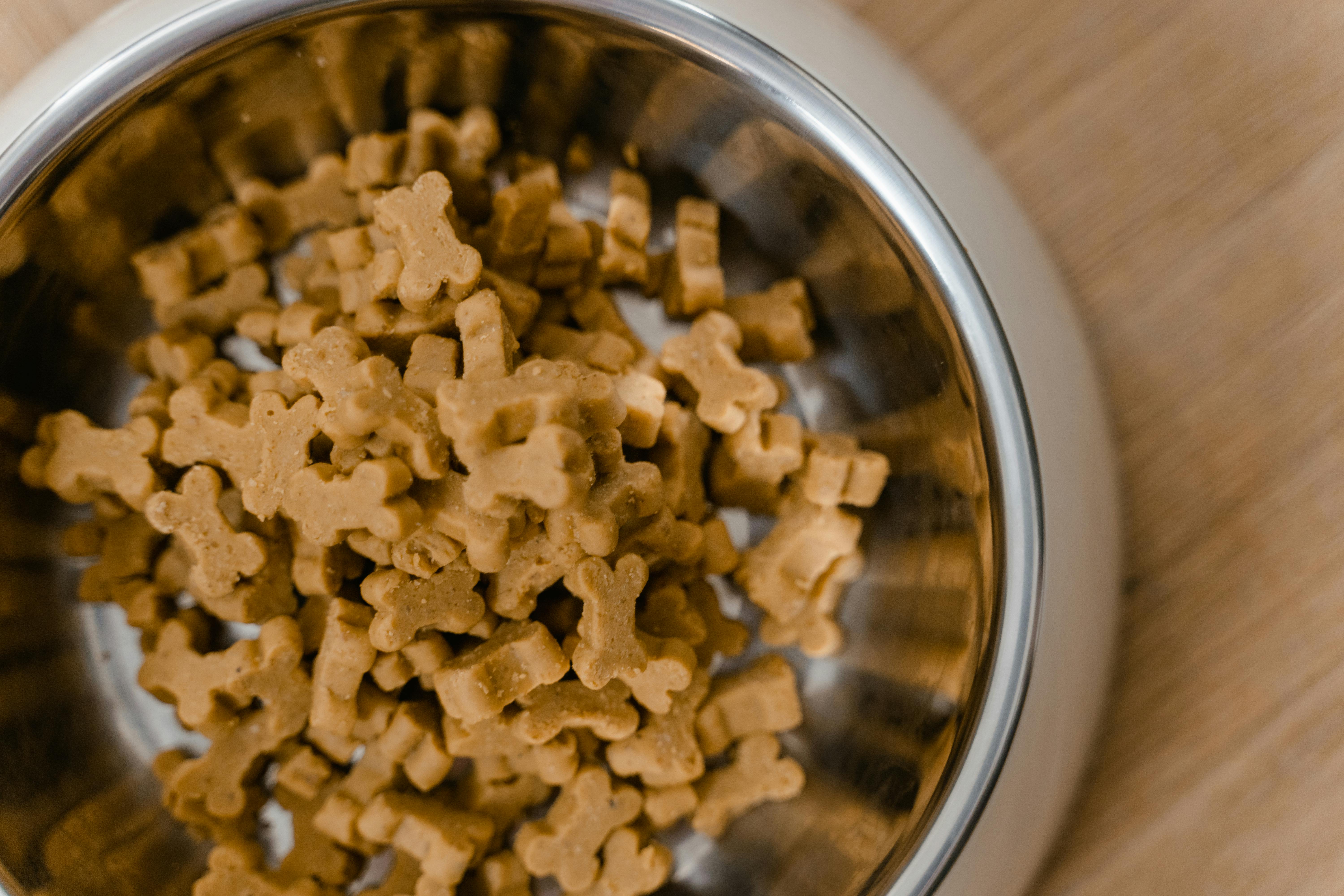 Finding High-Quality, Wallet-Friendly Dog Food Options Online