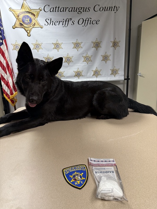 Traffic Stop in Ashford Leads to Cocaine Seizure, Two Arrested on Felony Drug Charges