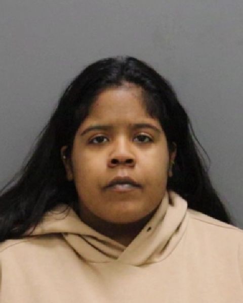 Jamestown Woman Arrested on 17 Counts of Child Endangerment