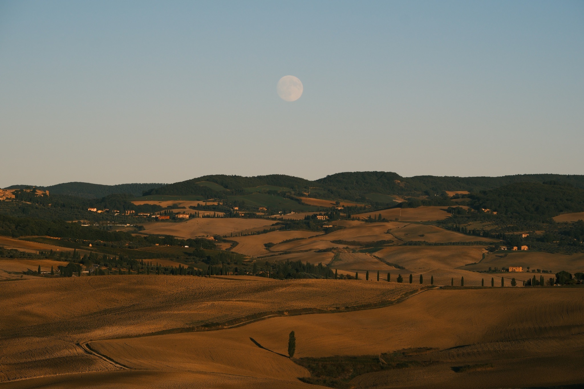 Golden Cypress Alleys of Tuscany and the Rugged Cliffs of the Algarve: Southern European Vistas