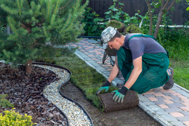 Backyard Landscape Design Ideas That Add Function And Beauty To Outdoor Spaces