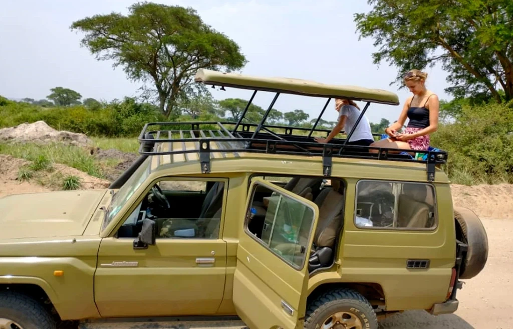 Safari Planning Checklist: Everything You Need Before You Go