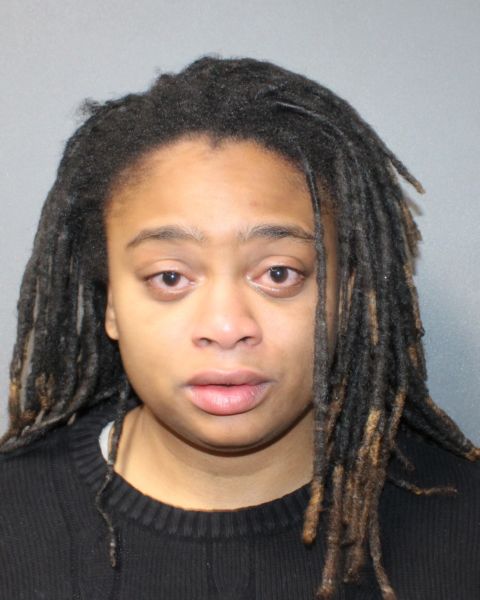 Buffalo Woman Sentenced to Six Months for Crash That Killed Dog Walker