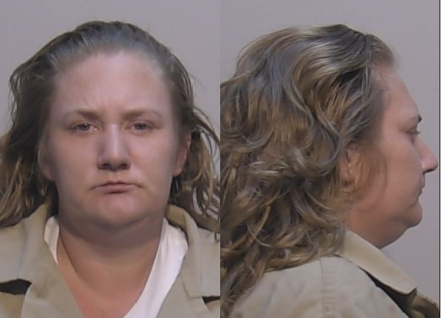 Newfane Woman Arrested in Niagara County Drug Investigation