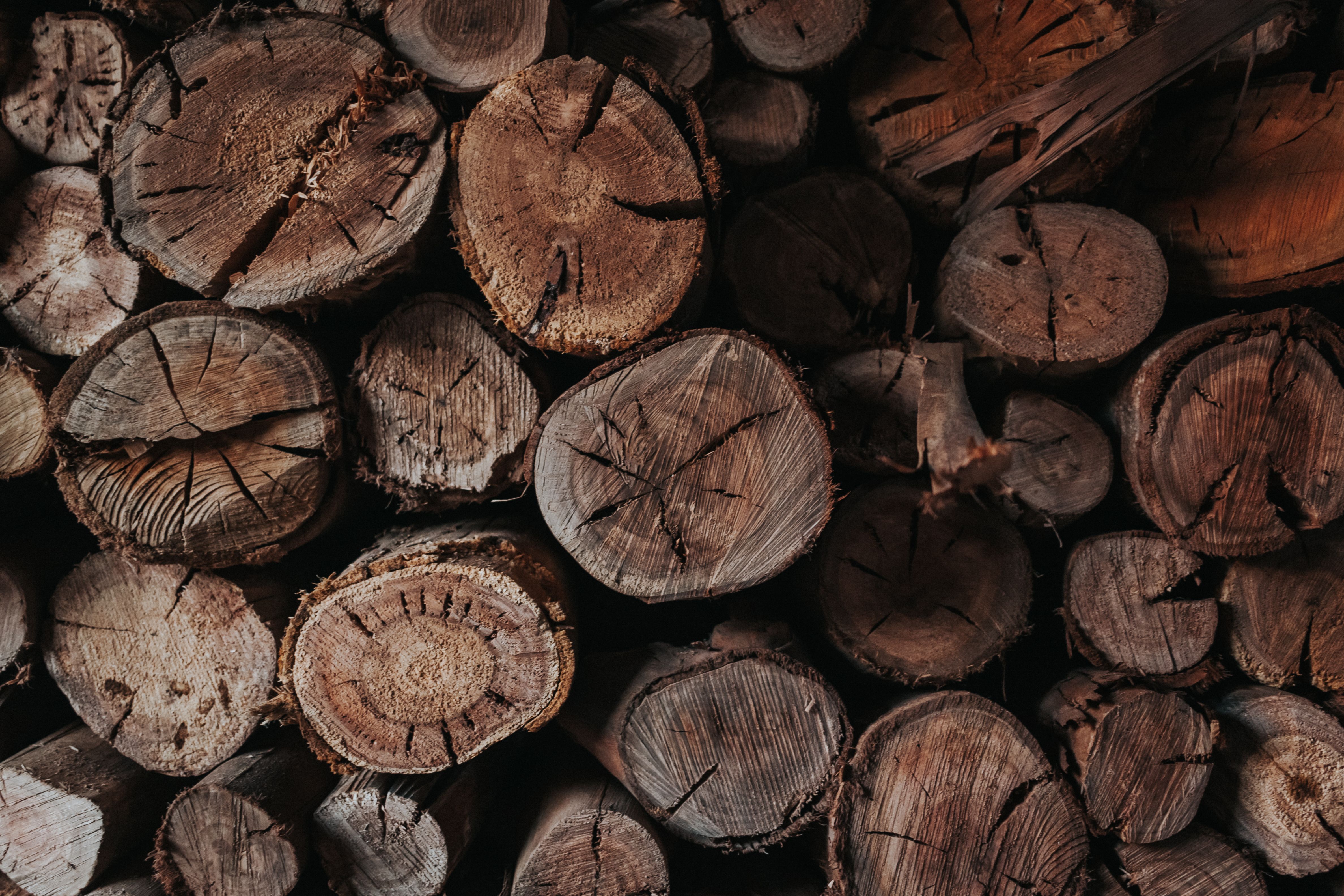 The Benefits of Redgum Firewood in Melbourne