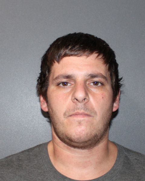 Tonawanda Man Pleads Guilty in Niagara Square Flagpole Damage Case