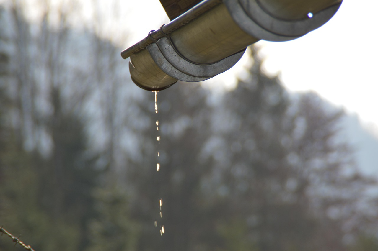 Ignoring a tiny roof leak is the fastest way to ruin a weekend