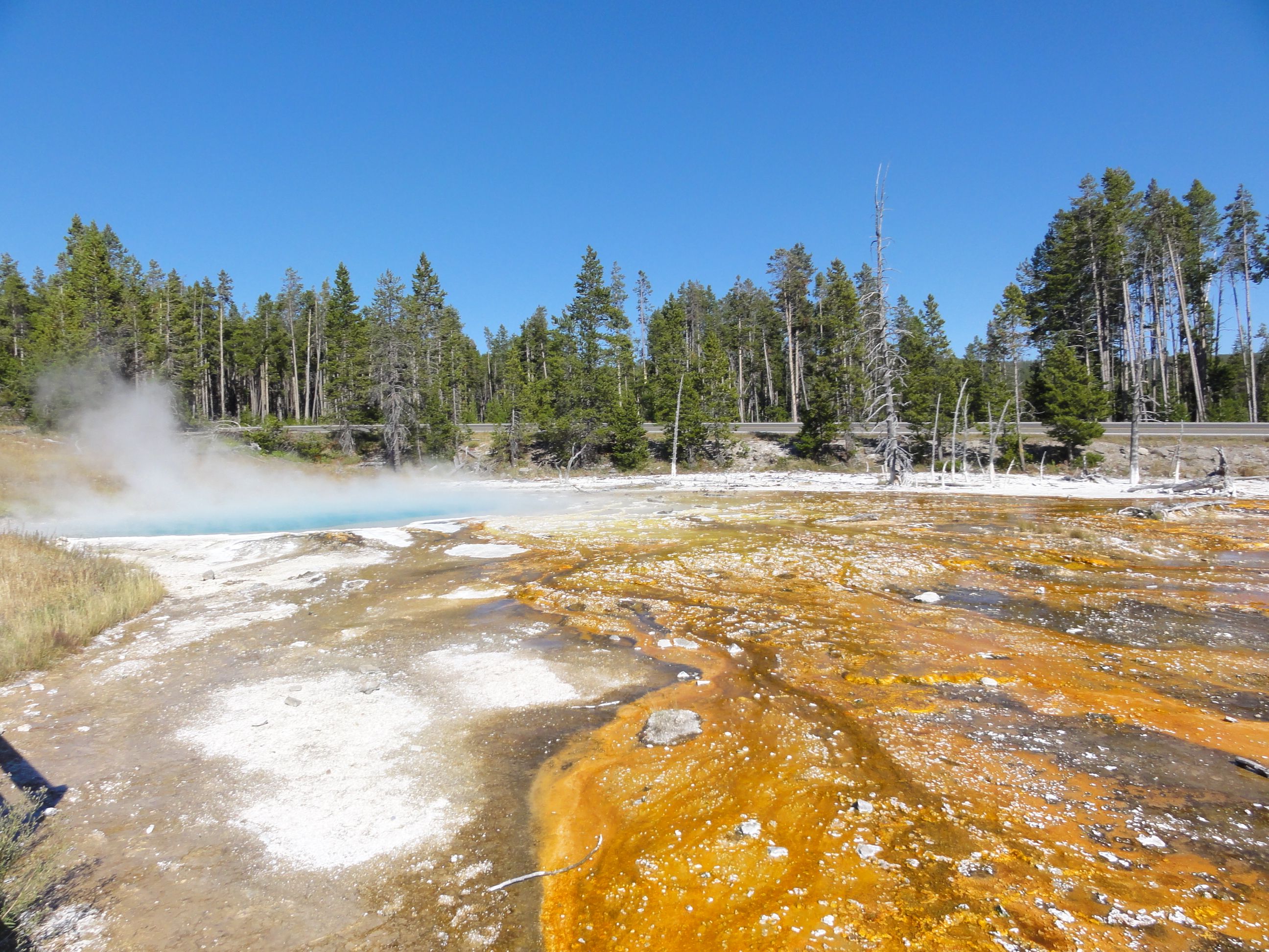 15 Can’t-Miss Things to Do in Yellowstone National Park