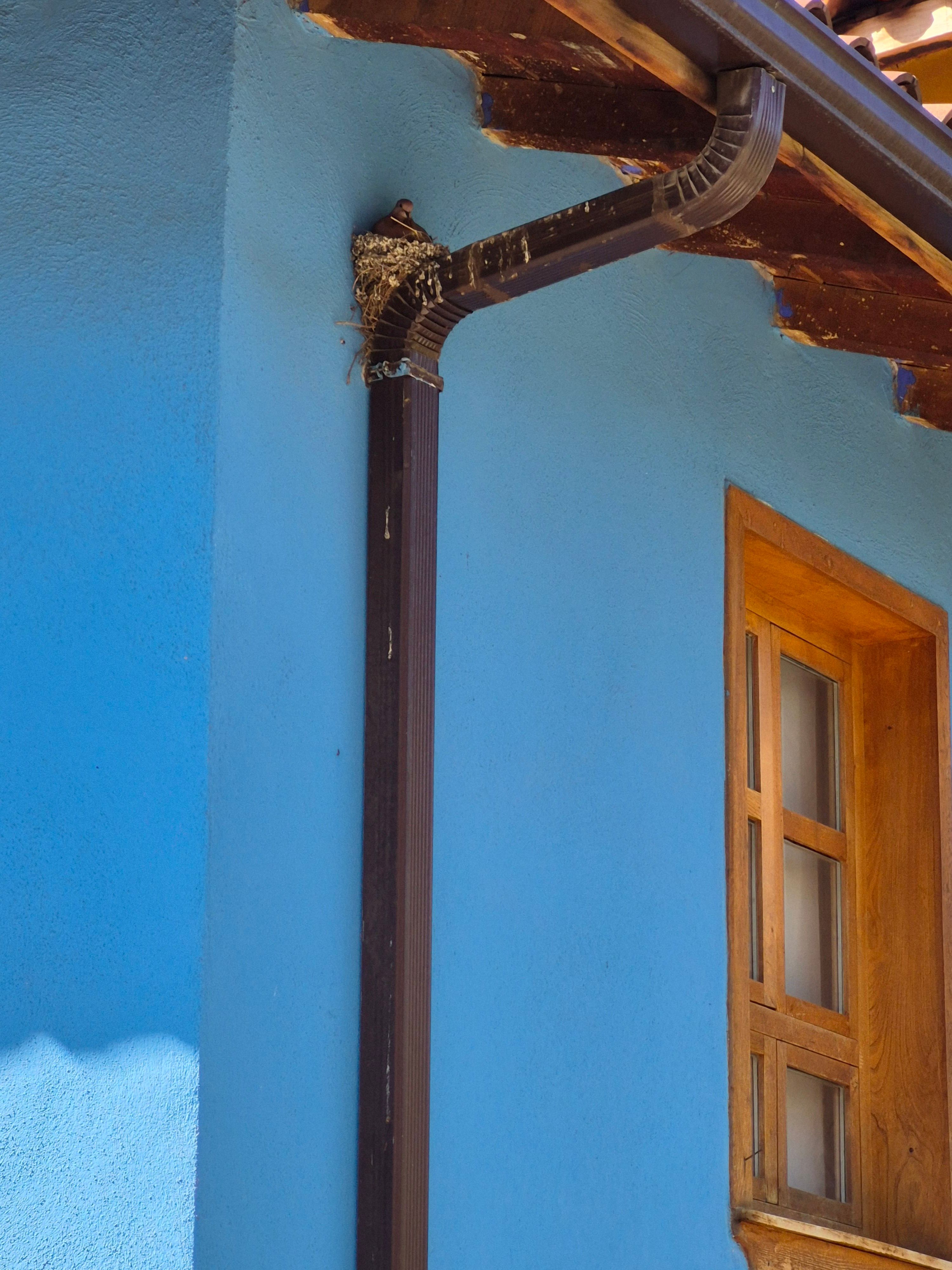 Hidden Signs Your Wichita Gutters Are Failing (And What to Do Next)